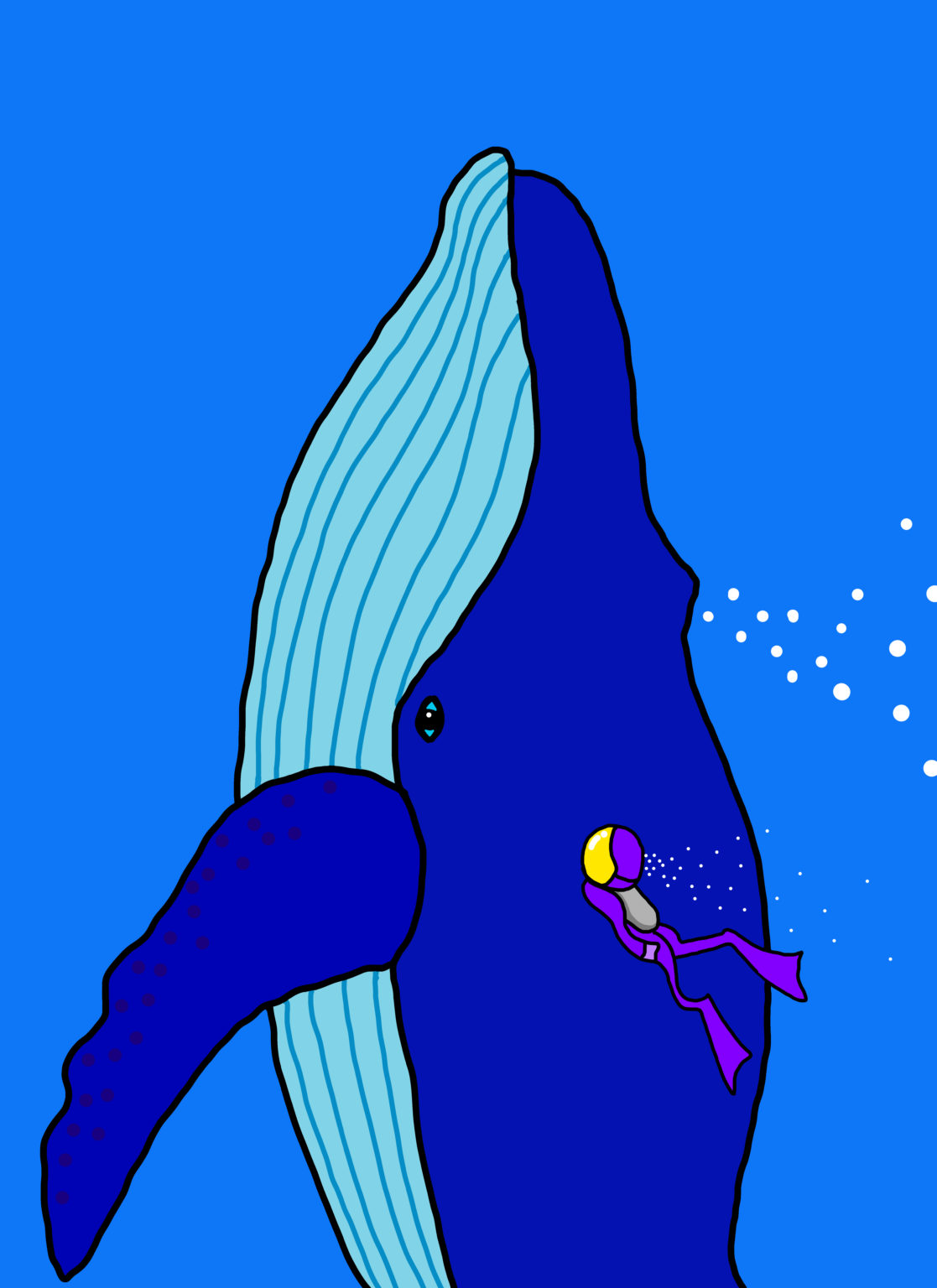 Blue Whale by Jorge Blanco