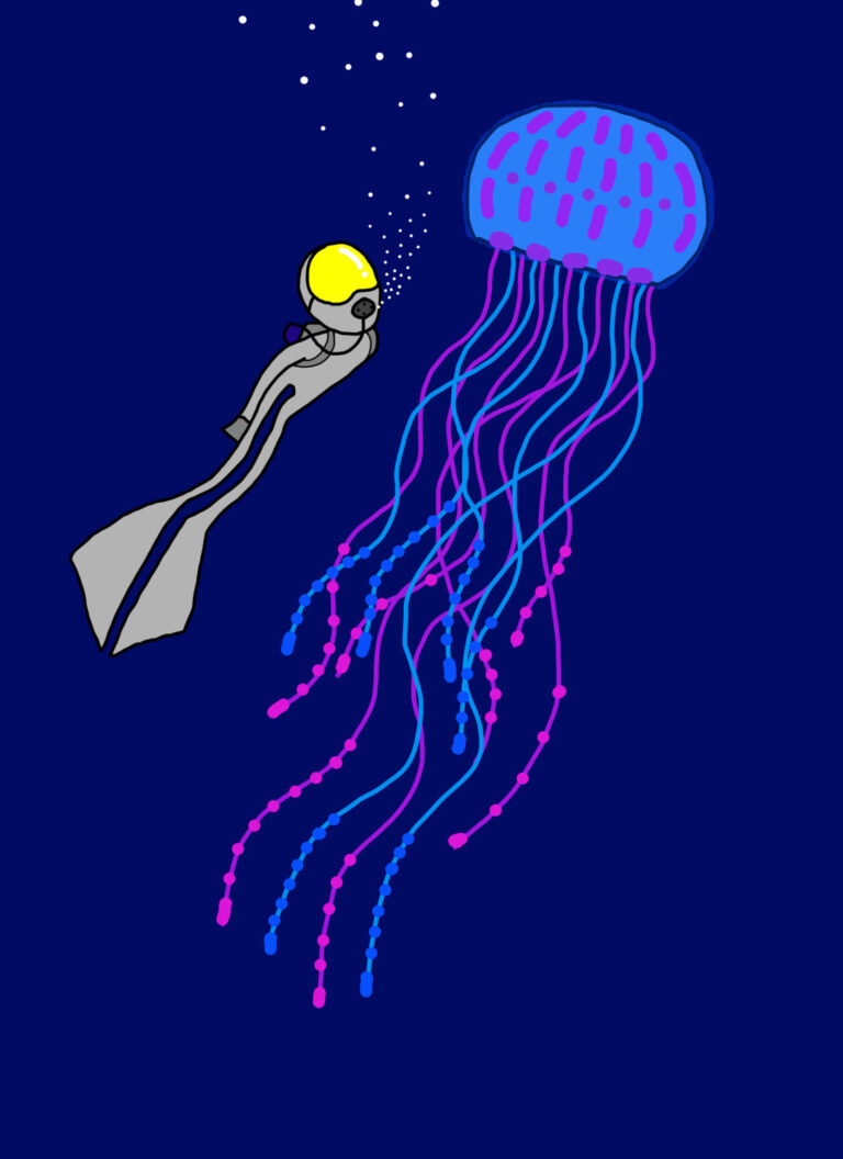 Jelly Fish by Jorge Blanco