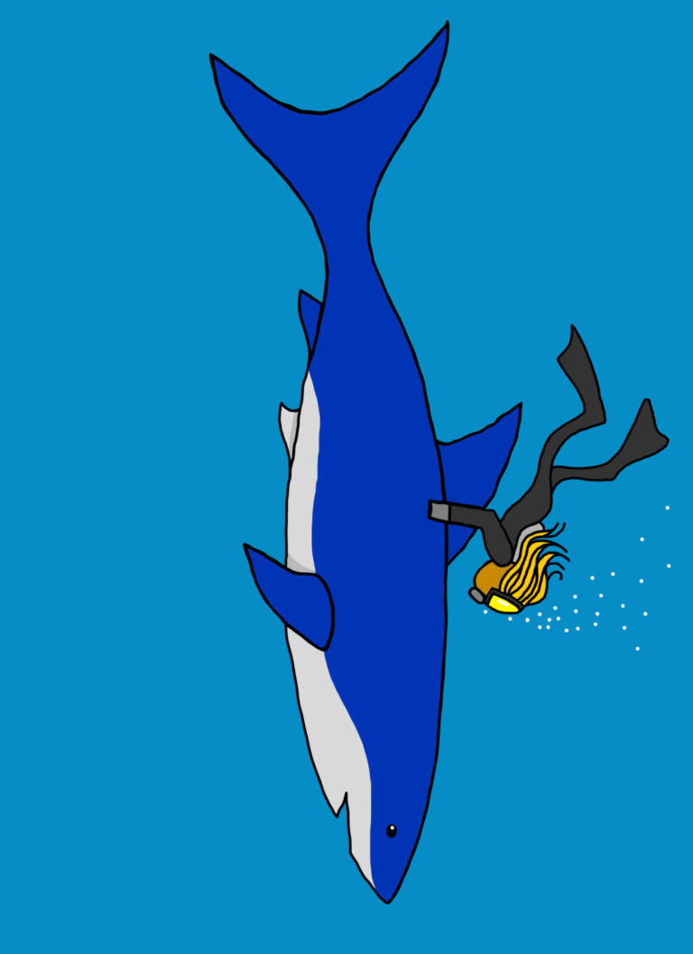 Shark by Jorge Blanco